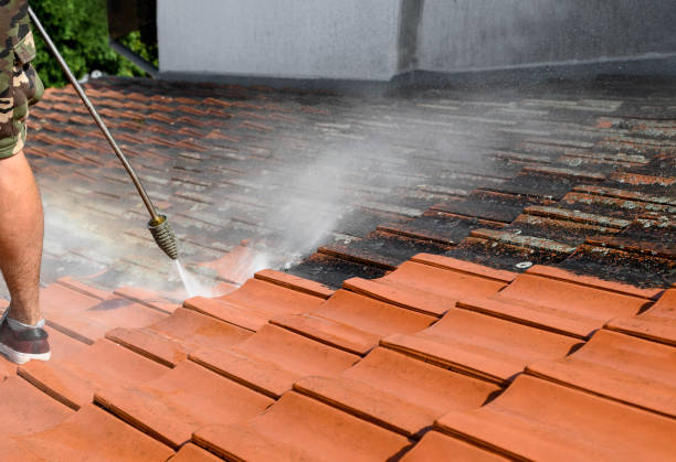 Best Best Pressure Washing Companies  in Westphalia, MD