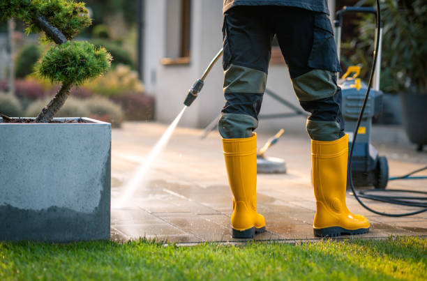 Best Pressure Washing Near Me  in Westphalia, MD